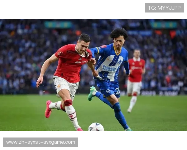 英超中游最有钱球队名单及财务分析